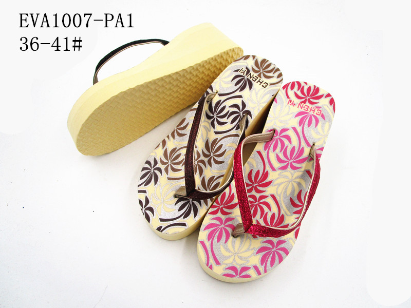 EVA1007-PA1