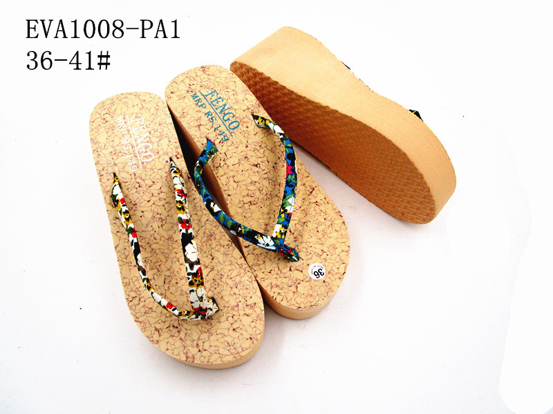 EVA1008-PA1
