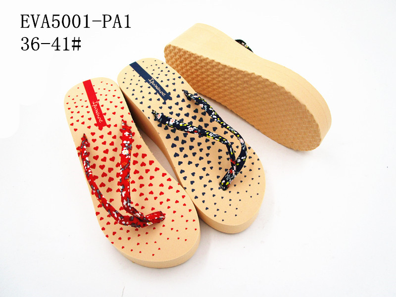 EVA5001-PA1