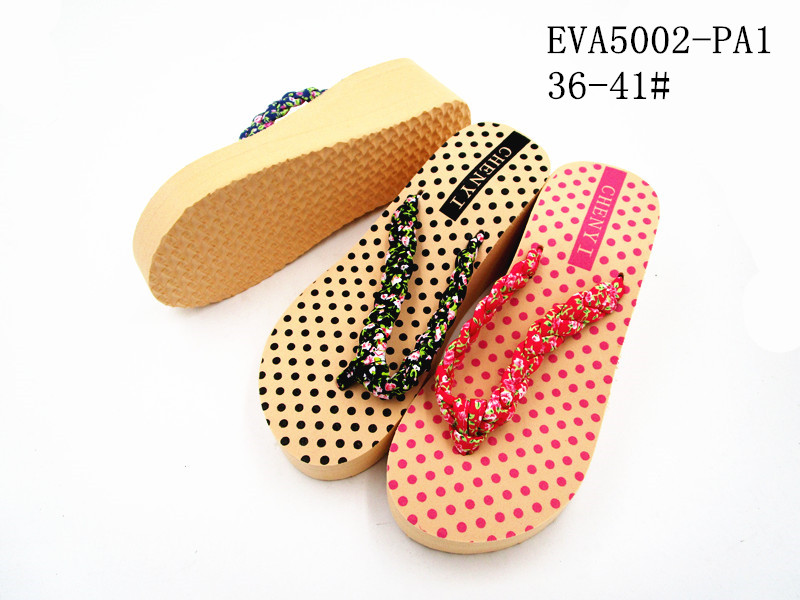 EVA5002-PA1