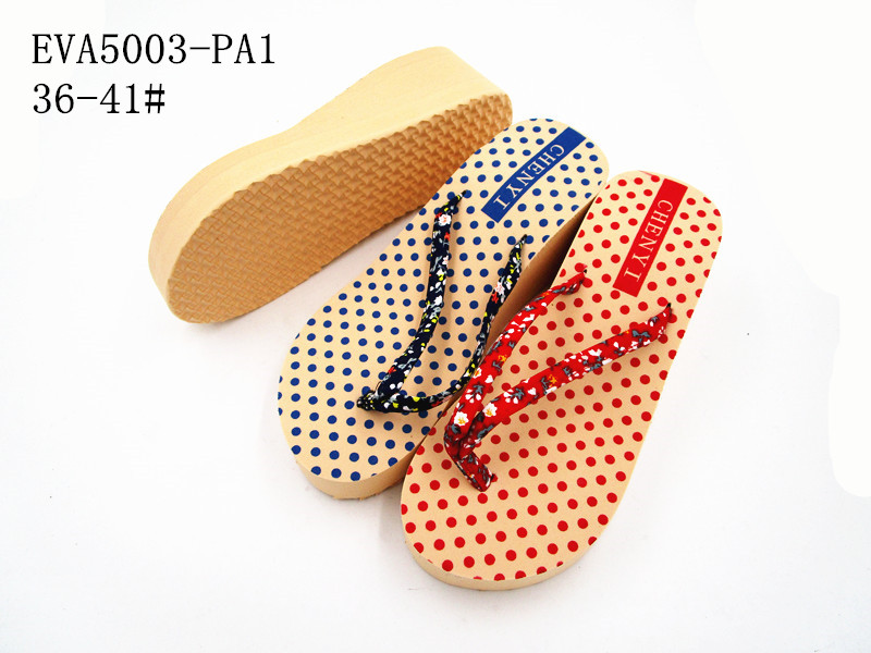 EVA5003-PA1