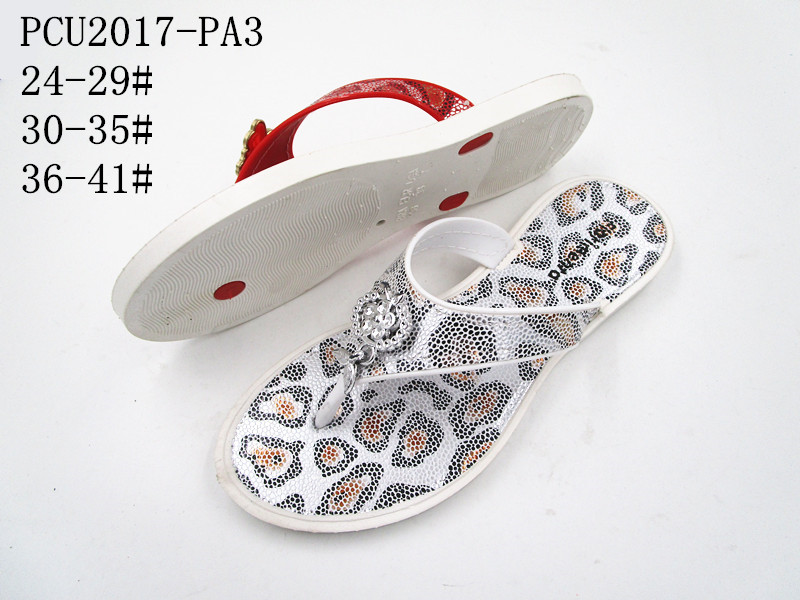 PCU2017-PA3