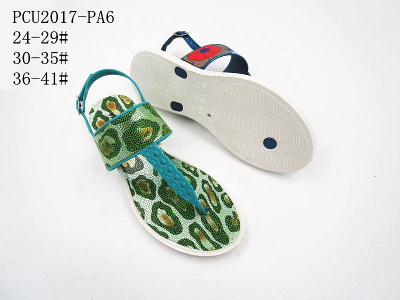 PCU2017-PA6