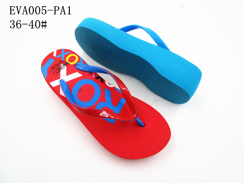 EVA005-PA1