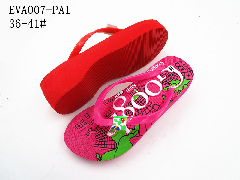 EVA007-PA1