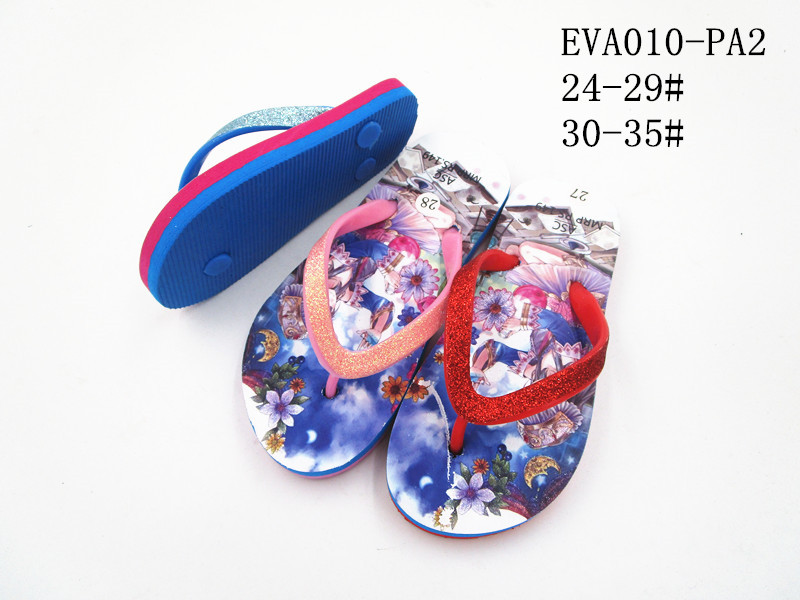 EVA010-PA2