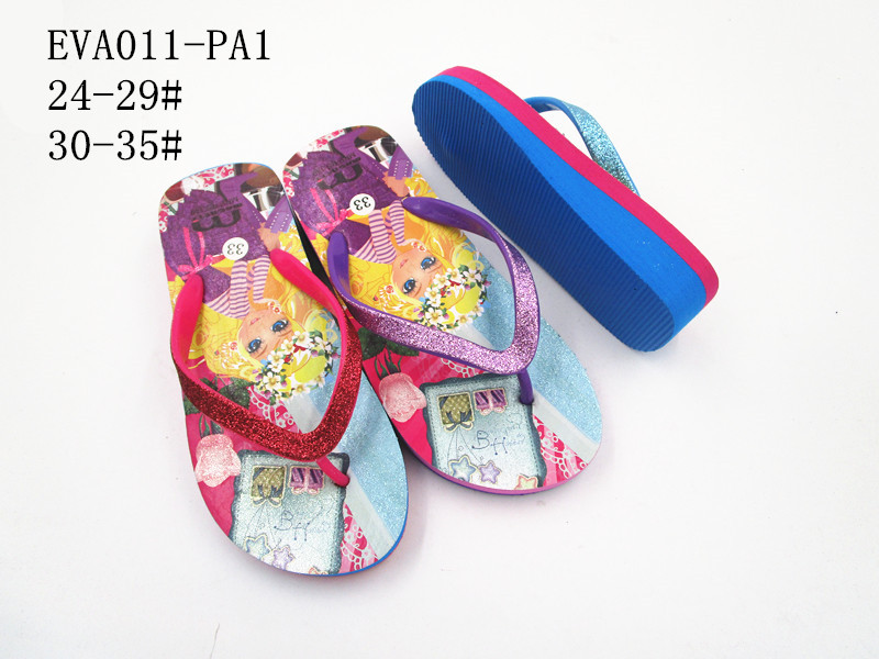 EVA011-PA1