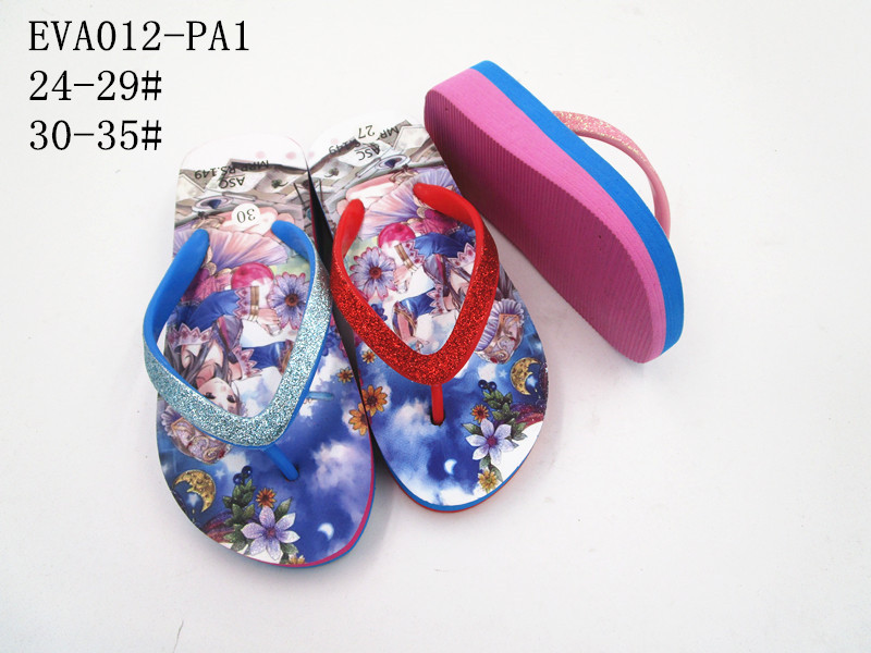 EVA012-PA1