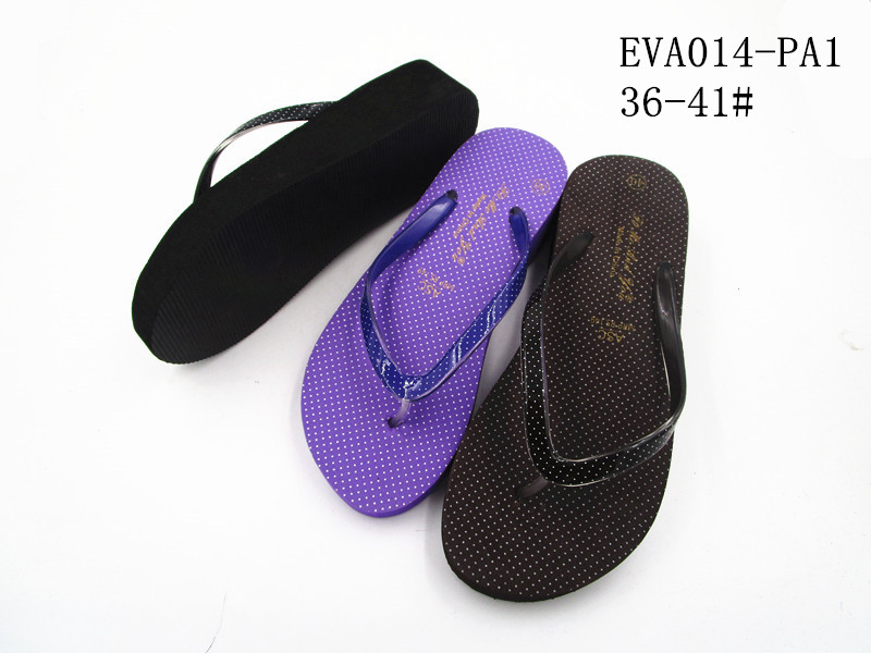 EVA014-PA1