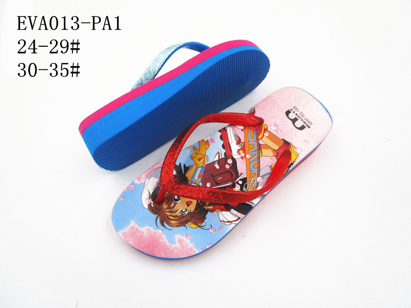 EVA013-PA1