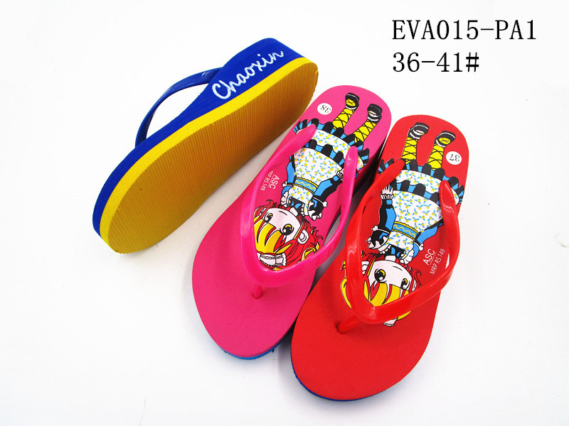 EVA015-PA1