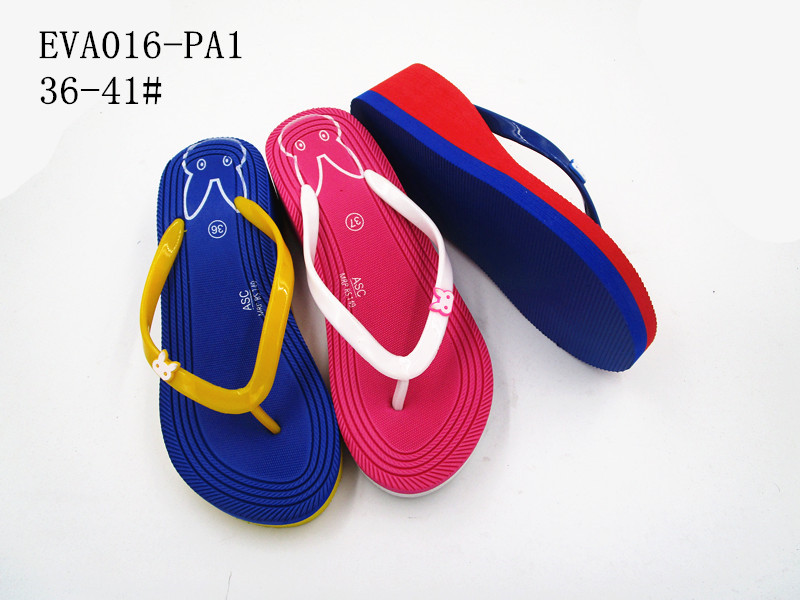 EVA016-PA1