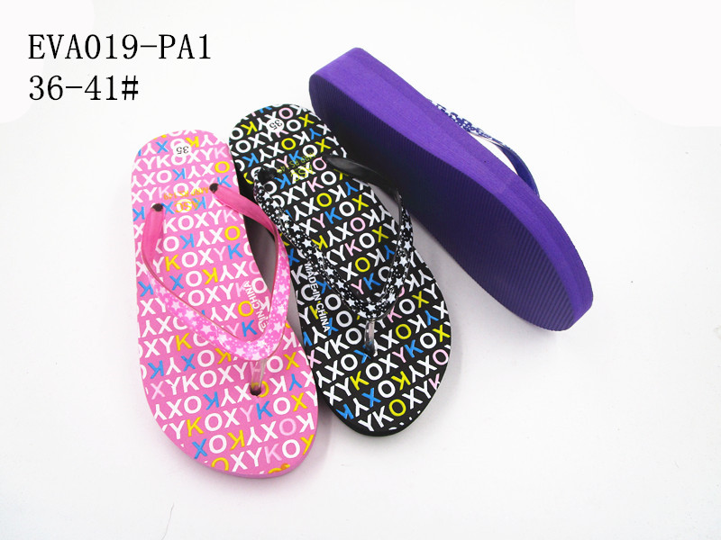 EVA019-PA1