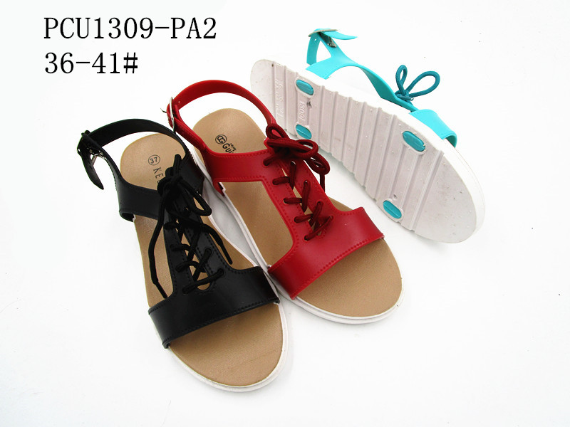 PCU1309-PA2