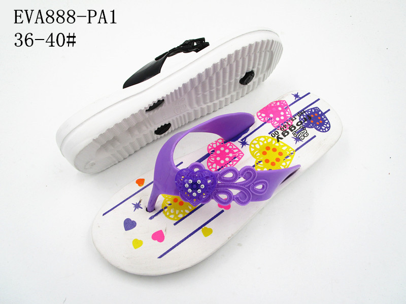 EVA888-PA1