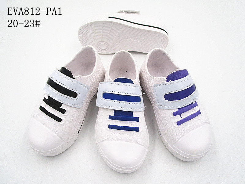 EVA812-PA1