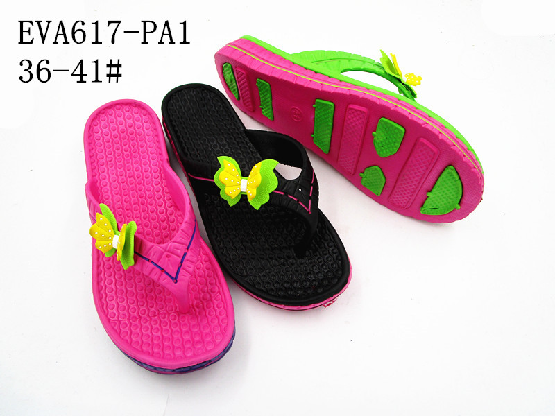 EVA617-PA1