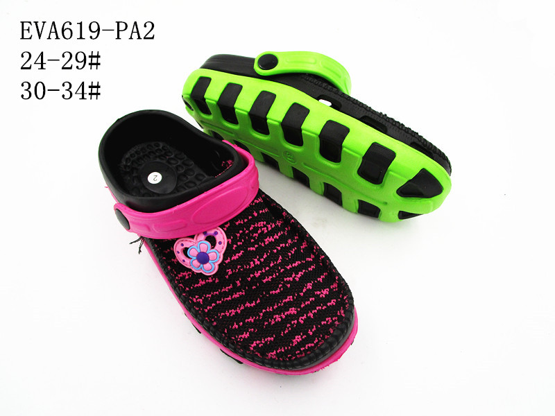 EVA619-PA2