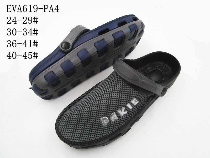 EVA619-PA4