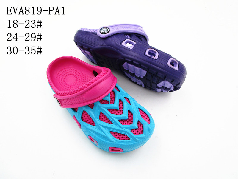 EVA819-PA1