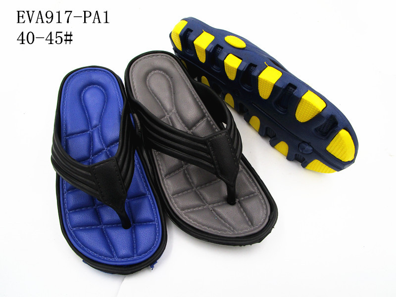 EVA917-PA1