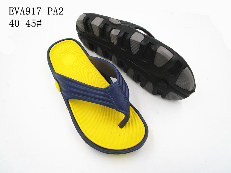 EVA917-PA2
