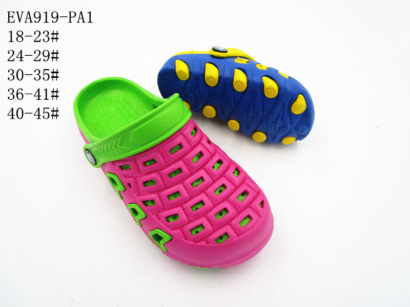 EVA917-PA1