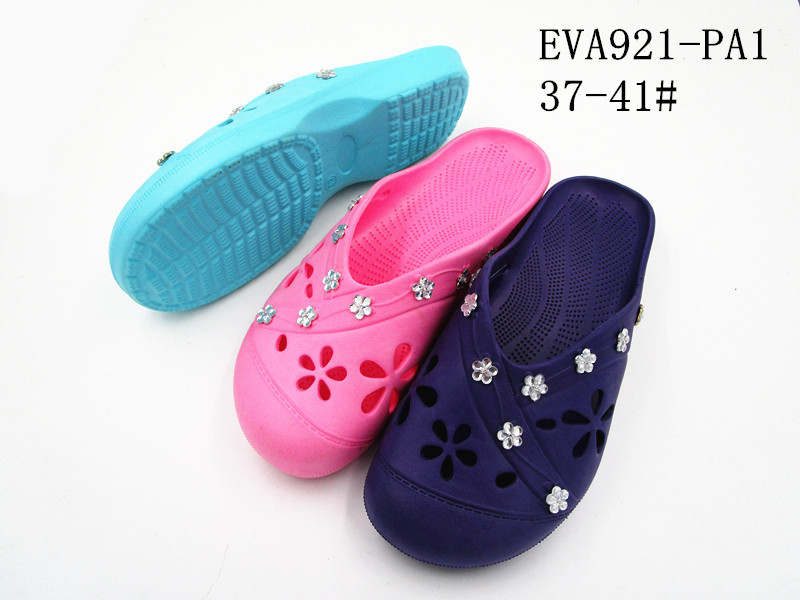 EVA921-PA1