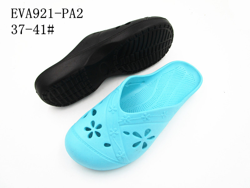 EVA921-PA2