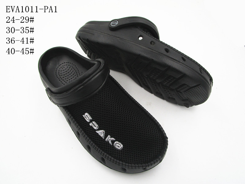 EVA1011-PA1