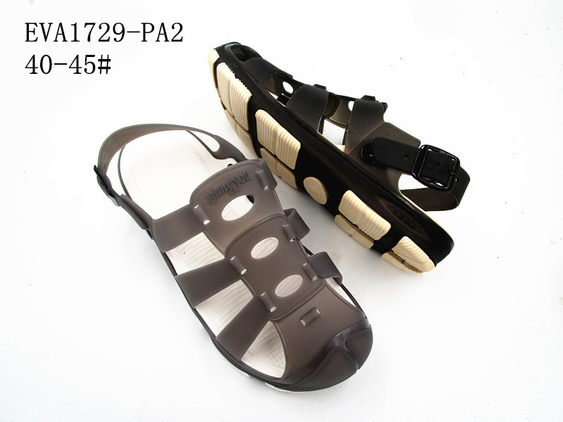 EVA1729-PA2