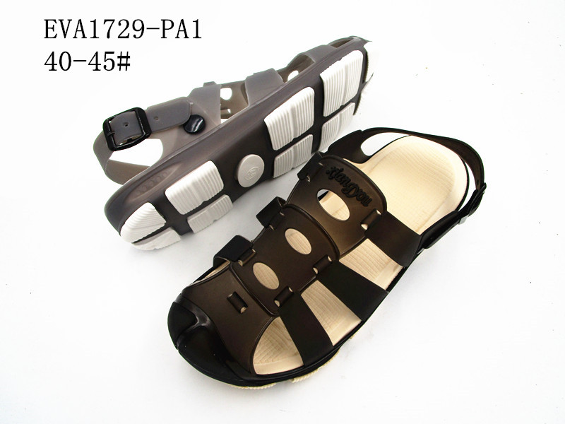 EVA1729-PA1