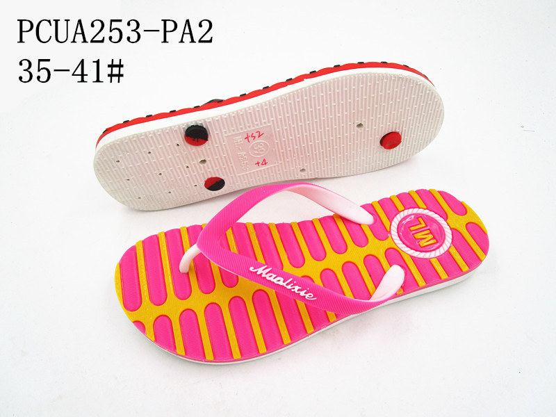 PCUA253-PA2