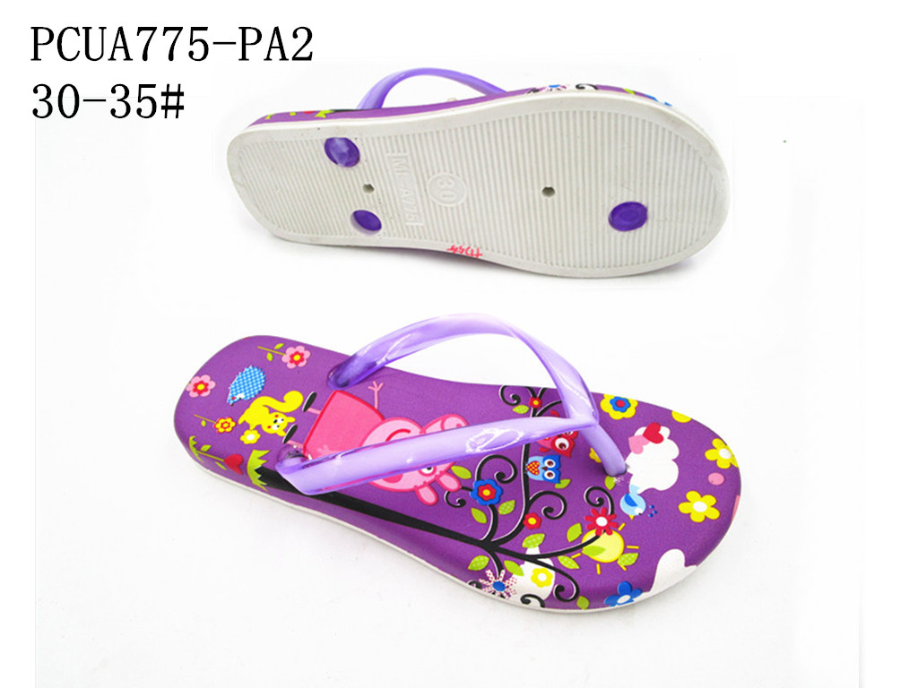 PCUA775-PA2