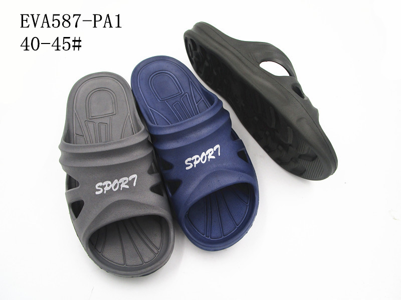 EVA587-PA1