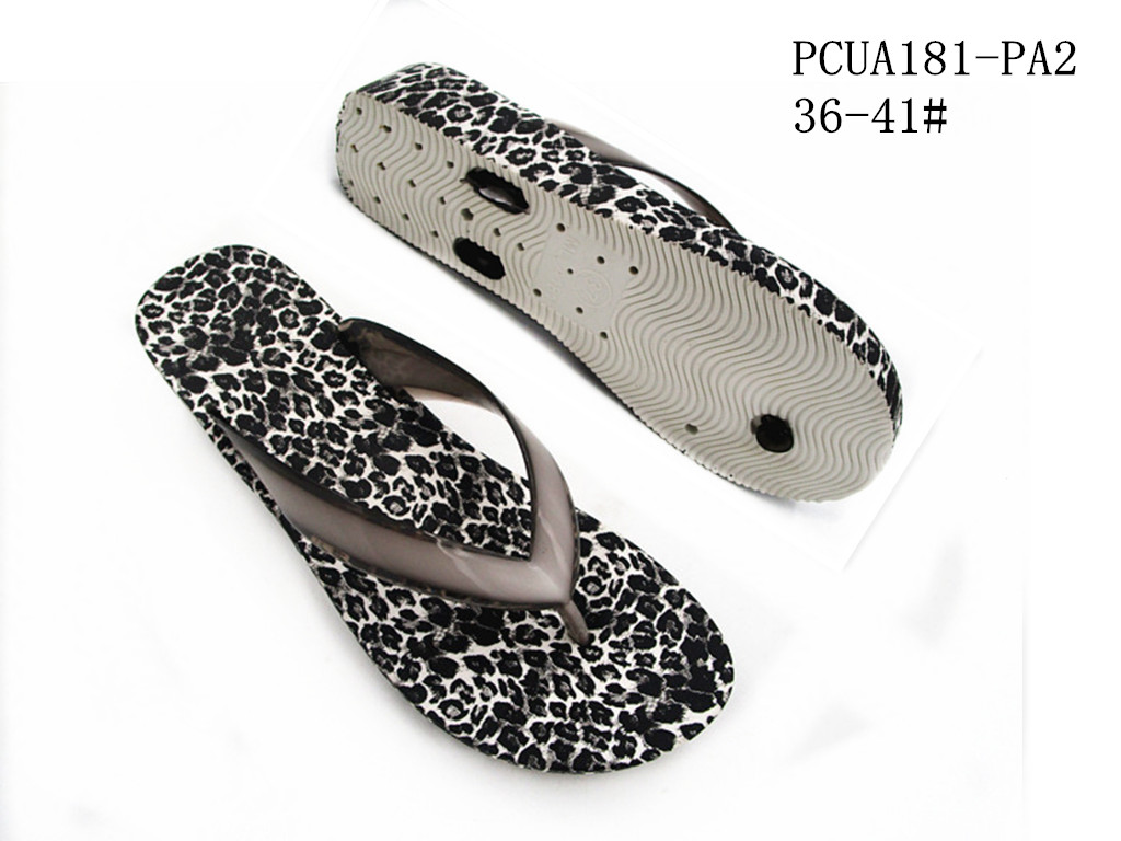 PCUA181-PA2