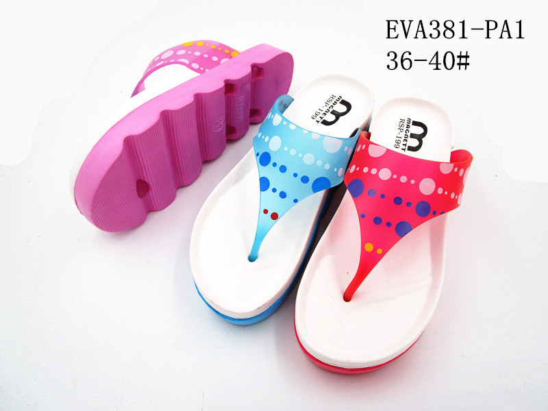 EVA381-PA1