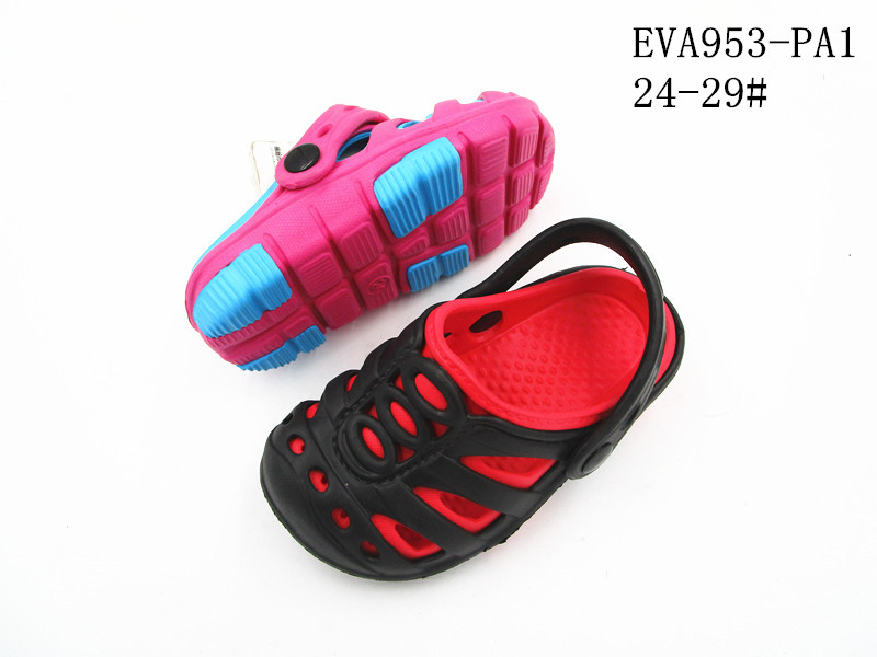 EVA953-PA1