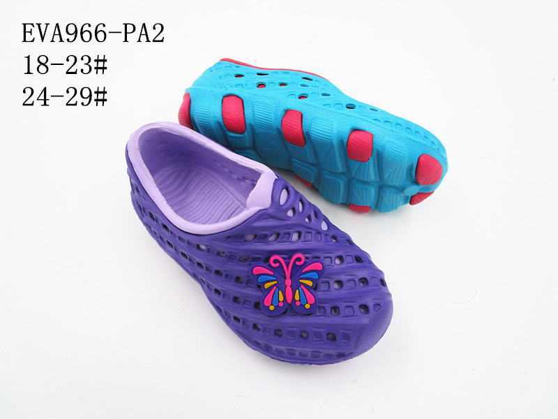 EVA966-PA2