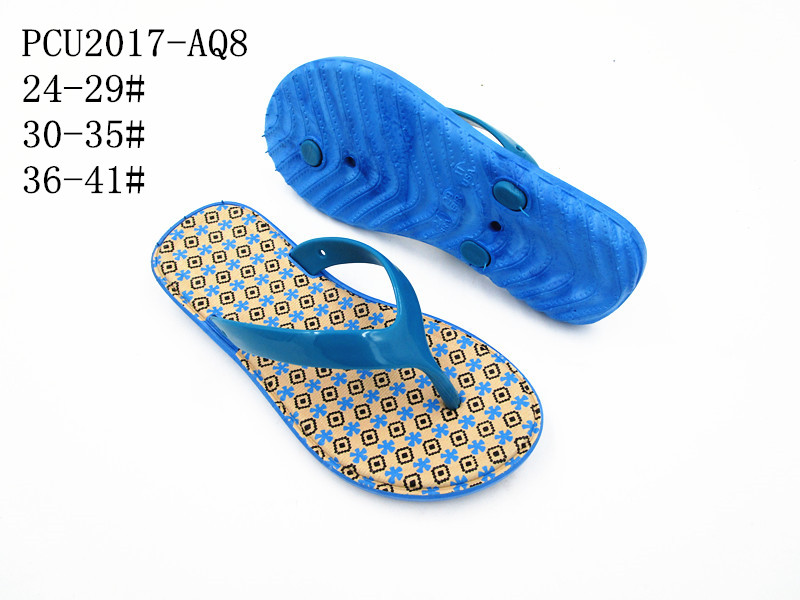 PCU2017-AQ8
