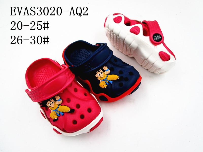 EVAS3020-AQ2