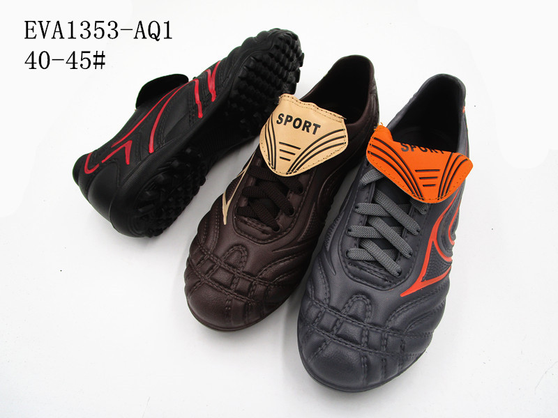 EVA1353-AQ1