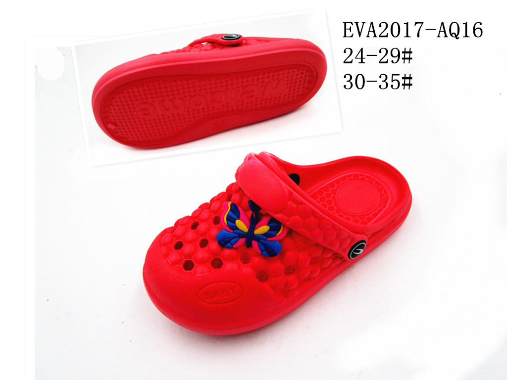 EVA2017-AQ16