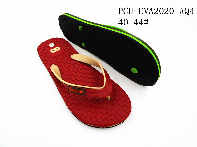 PCU+EVA2020-AQ4