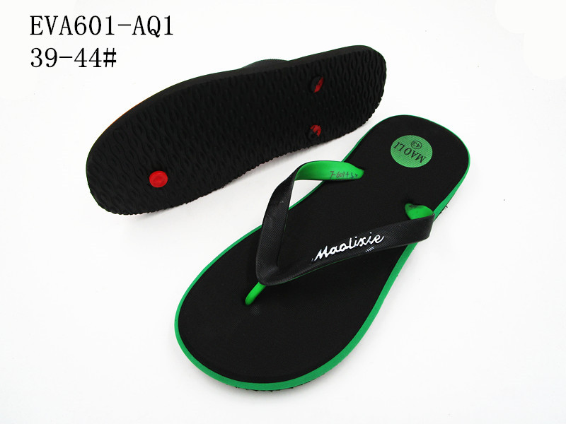 EVA601-AQ1