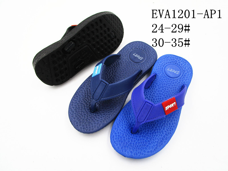 EVA1201-AP1