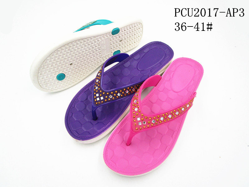PCU2017-AP3