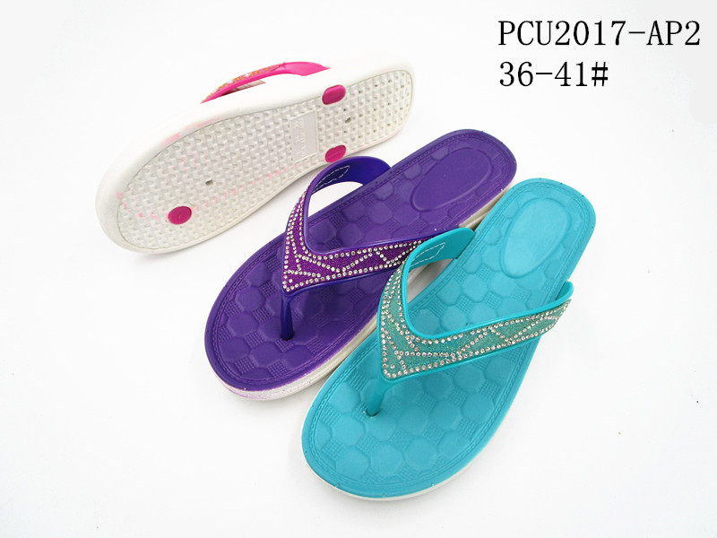 PCU2017-AP2