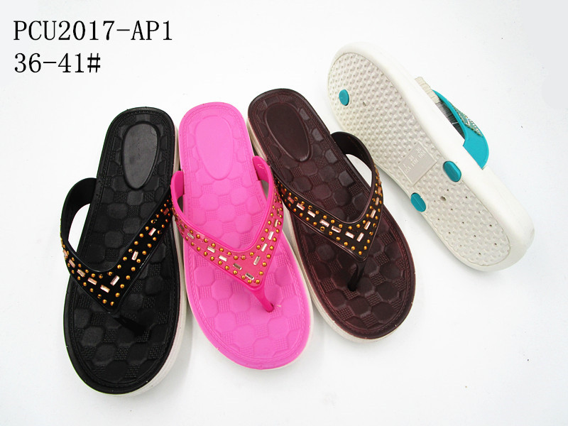 PCU2017-AP1