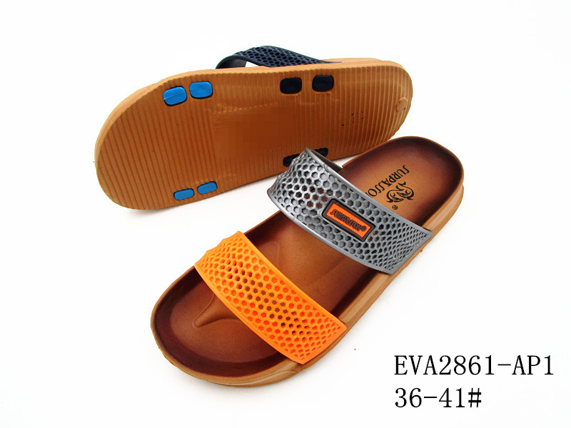 EVA2861-AP1